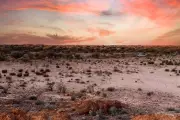 Western Mines Expands Nickel-Copper Hunt with New WA Tenements