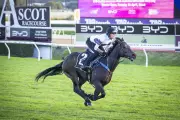 Western Triology's Bjorn Baker Targets International Double with Caballus at The Quokka