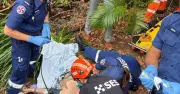 Woman Falls Four Metres Down Embankment in Thirroul Gardening Accident