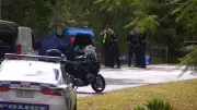 Woman killed by rolling car while walking dog on rural Qld road