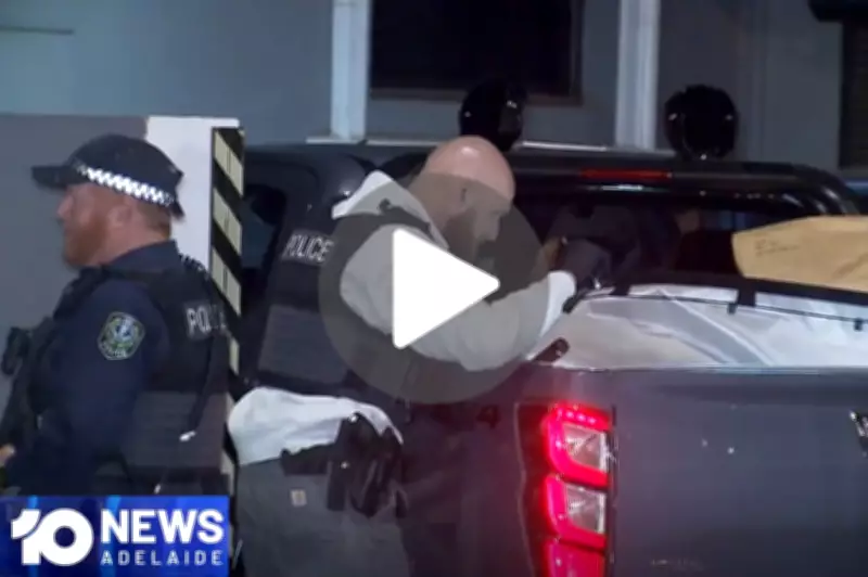 10 News Daily Video Brings SA Latest Updates