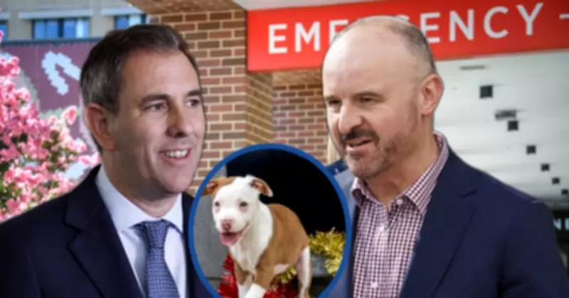 ACT Secures Key Budget Wins Amid Federal Government Shift