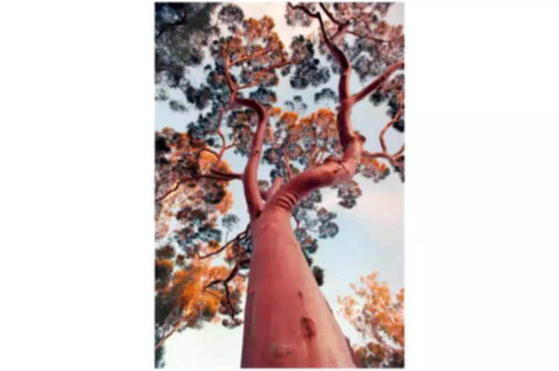 Adelaide Shines in New Tourism Campaign 'This Is Adelaide'