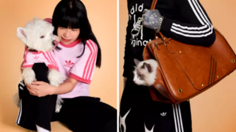 Adidas Launches First-Ever Pet Range with Fashion-Forward Apparel and Accessories
