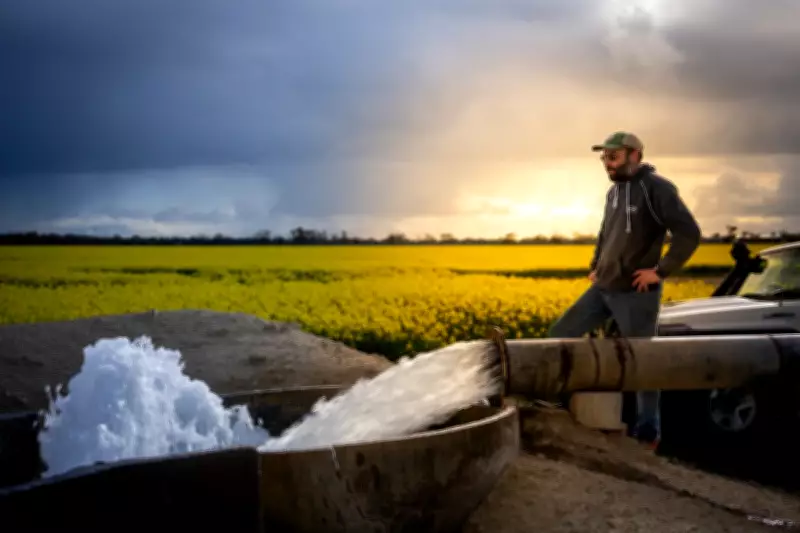 Ag Town Awards: More Than a Prize for Regional SA