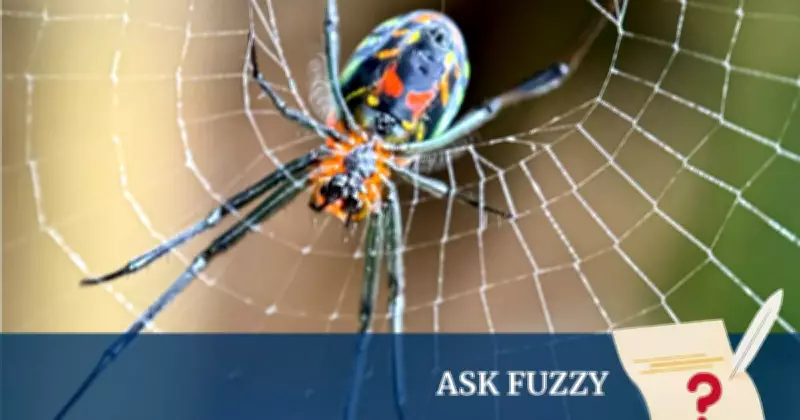 Ask Fuzzy: The Remarkable Science of Spider Silk