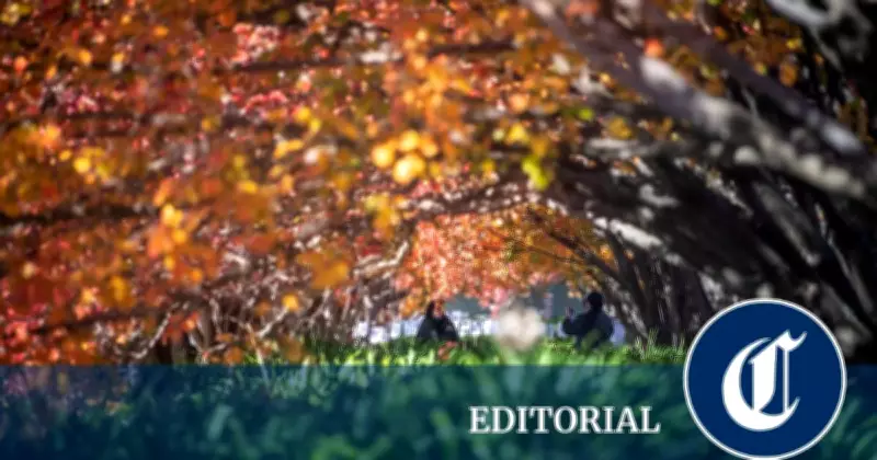 Autumn's Vivid Hues Reflect Life's Fleeting Beautiful Moments