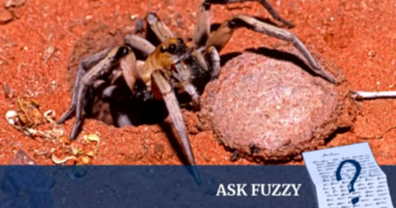 Barbara York Main: The Spider Woman Who Loved Tarantulas