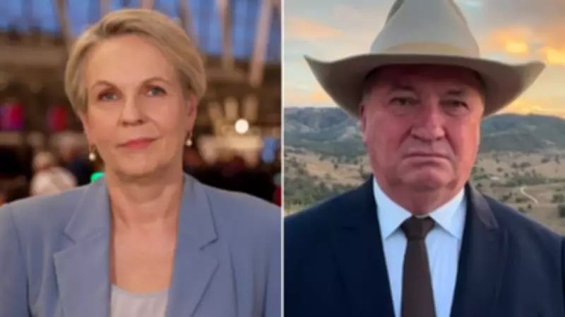 Barnaby Joyce Accuses Government of 'Not Telling Truth' on Tax Reforms
