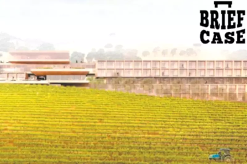 Barossa Resort Approved, SA Businesses Win Big in Weekly Roundup