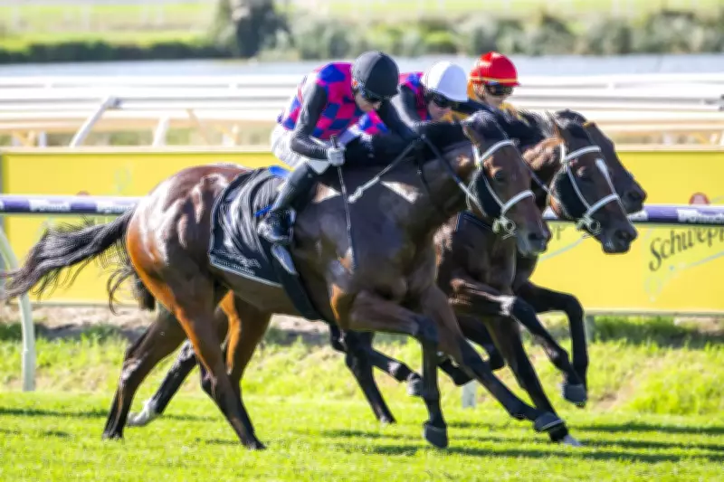 Beatty and Afireofgidgeecoals Set for Sires Produce Rematch
