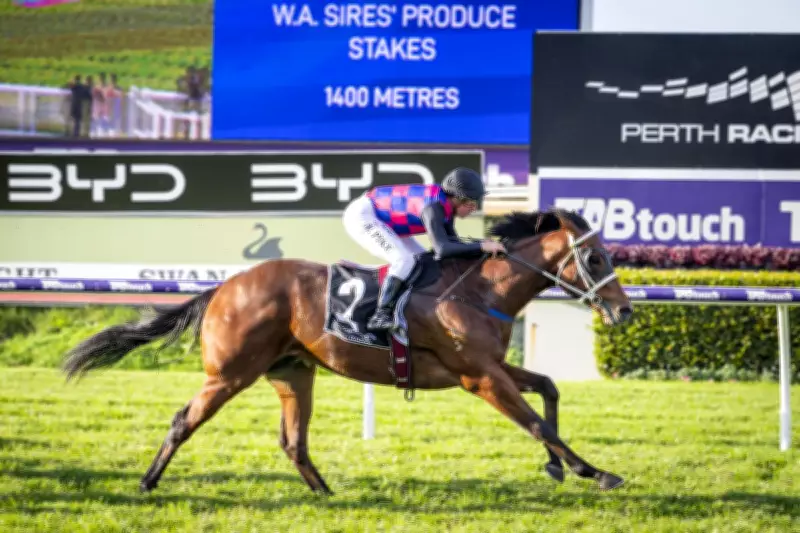 Beatty turns tables on Afireofgidgeecoals after Karrakatta barrier mishap