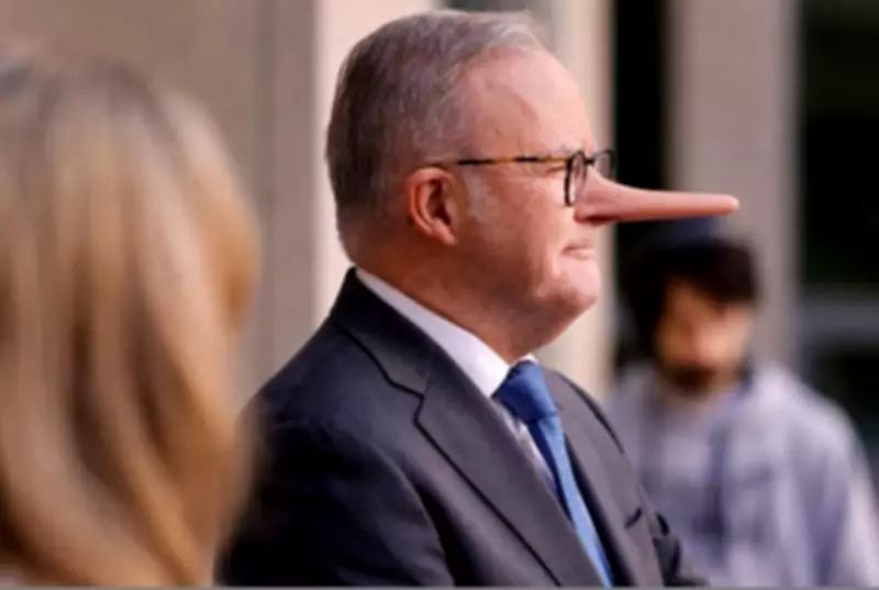 Ben Harvey: Albanese's Budget tax duplicity takes the cake