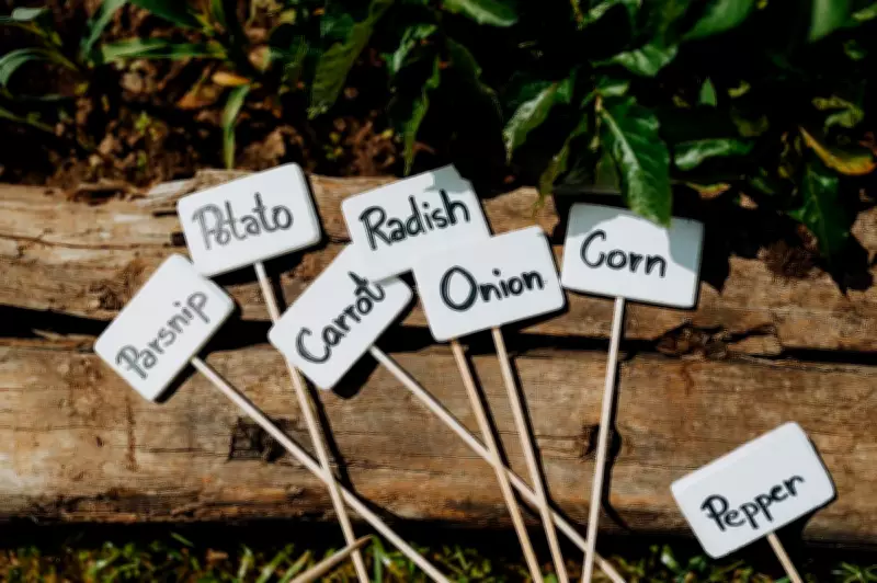 Best Potting Mix for Winter Vegetables: Expert Tips for Healthy Growth