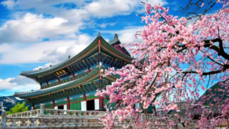 Beyond K-Pop: Why South Korea Should Be Your Next Aussie Holiday