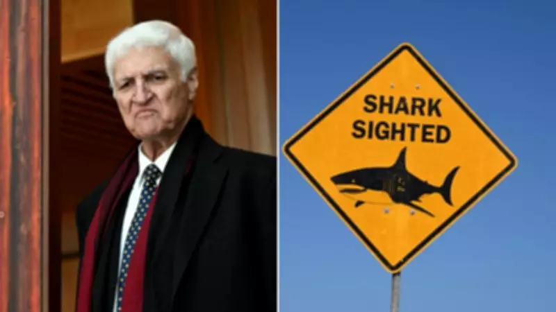 Bob Katter slams shark laws after fatal attack in North Queensland