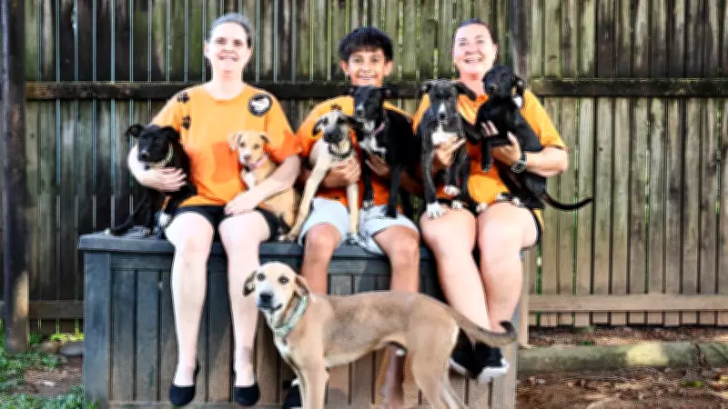 Cairns Animal Rescue Fundraiser to Cover Soaring Monthly Costs