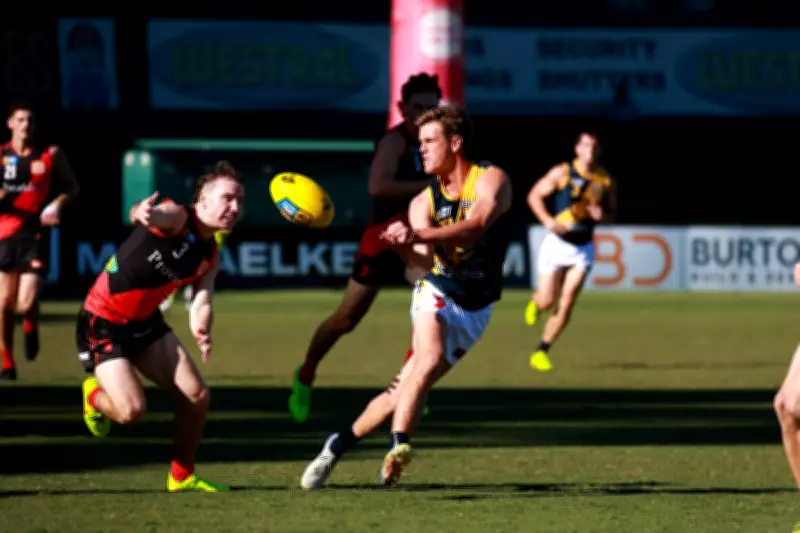 Claremont Tigers Dominate Perth with 52-Point Victory, Extend Unbeaten Streak