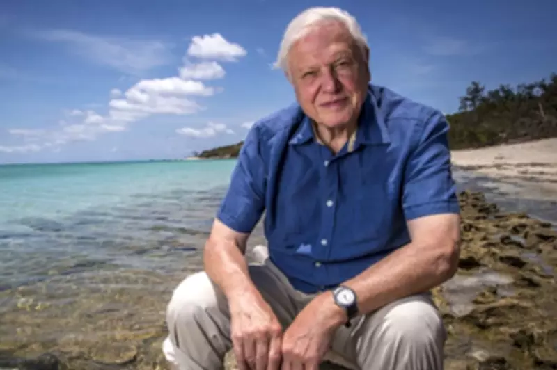 David Attenborough Celebrates 100 Years of Nature Storytelling