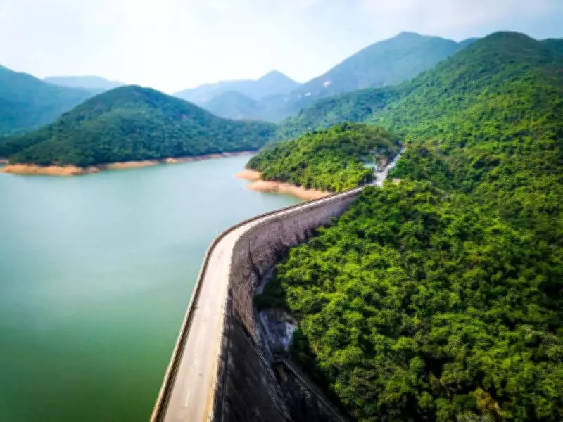 Discover Hong Kong's Green Side: Hiking and Heritage in Wan Chai