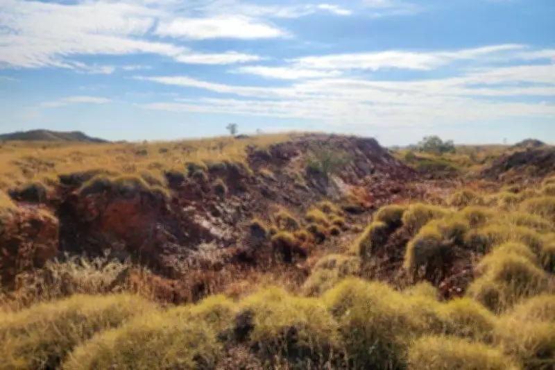 Dynamic Metals Clears Path for Fluorspar Exploration at Meentheena