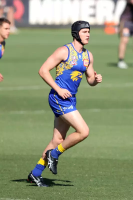 Eagles' Harry Edwards Praised by Jamieson After WAFL Return