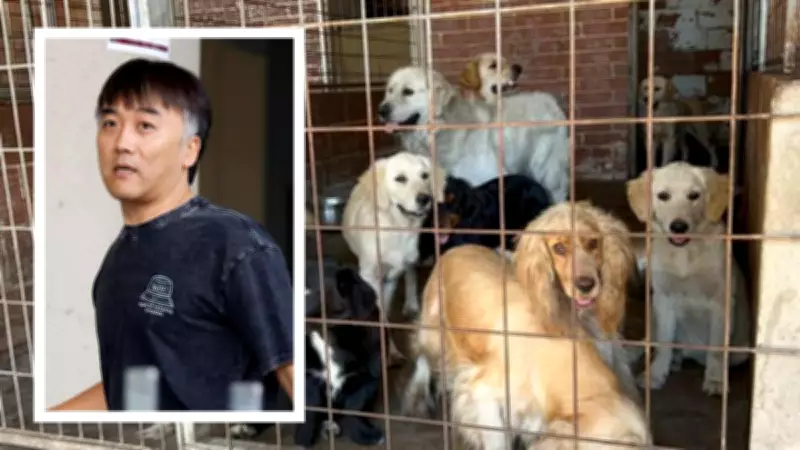 Emaciated Dogs Rescued from Squalid Canning Vale Property