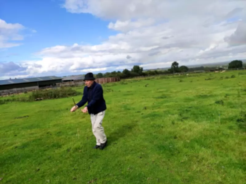 Exploring the Ancient Art of Divining in Ireland's Countryside