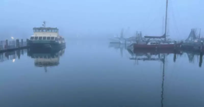 Fog blankets Hunter region, flood watch issued: live updates