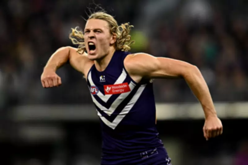 Fremantle Star Young Confident of Return After Delayed Concussion