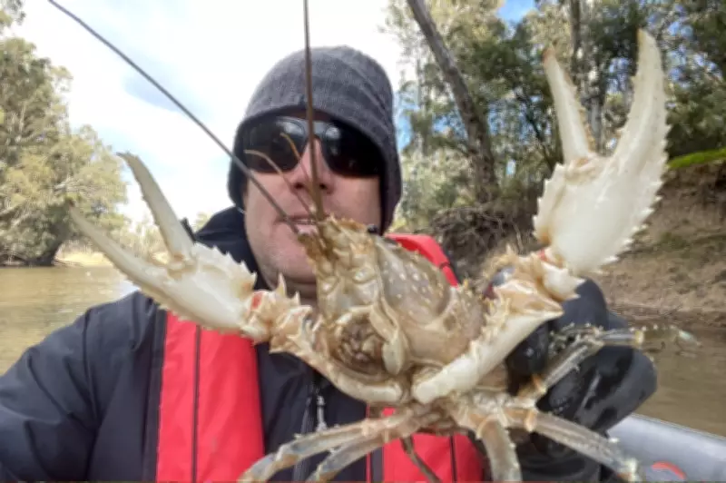 Freshwater Fish Face Mass Extinction at Coorong Without Action