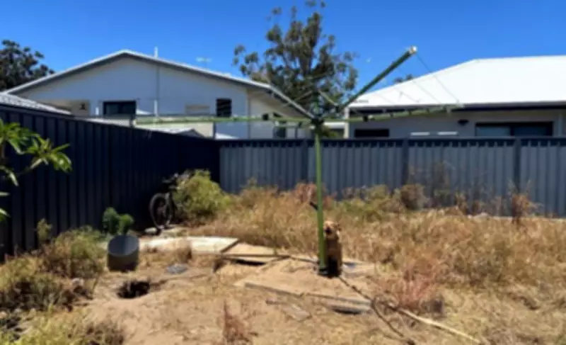 Girrawheen woman fined $4000 for leaving dogs in 30C heat without shade or water