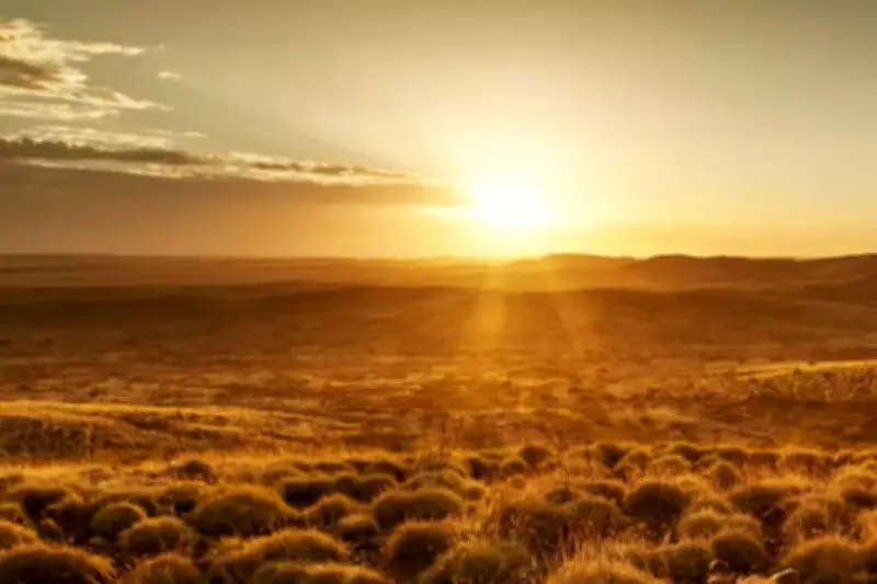 Golden Dragon Mining Strikes High-Grade Gold at Cue Project in WA