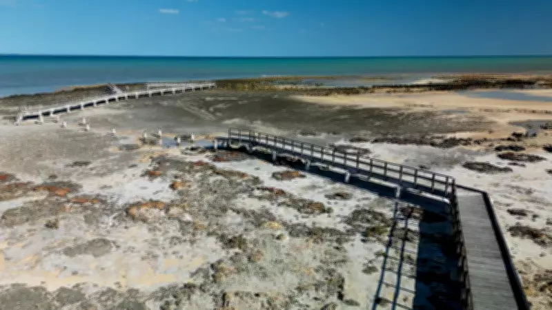 Hamelin Pool Boardwalk Replacement Underway After Cyclone Damage