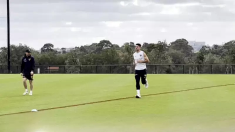 Hawks co-captains Sicily and Newcombe face fitness tests before Fremantle clash