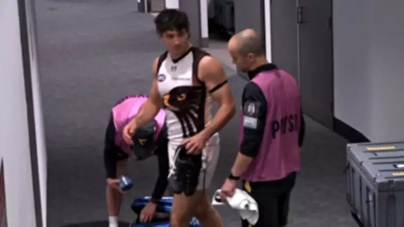 Hawthorn star Tom Barrass suffers hamstring injury in Fremantle clash