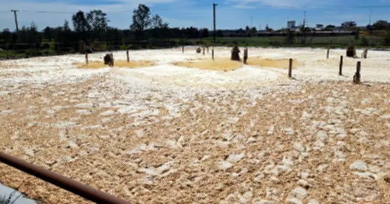 Hexham Manufacturing Fined $30,000 Over Foul Dairy Odours