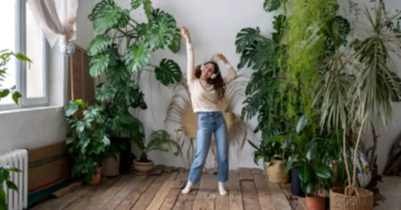 How Indoor Plants Can Boost Your Winter Mood and Reduce Stress