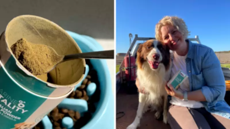 How Mussel Powder Can Slash Your Pet's Vet Bills