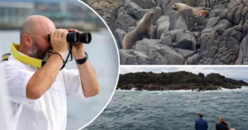 Inside Shellharbour's Whale Watching Tours: A First-Hand Experience