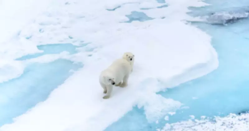 Is Climate Education Causing Anxiety in Australian Children?