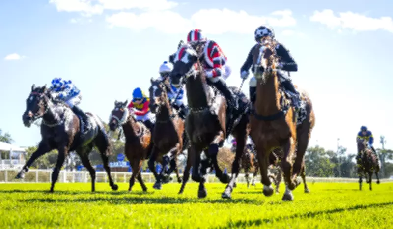 Jimmy Angel Tips Big Week for Russell Stewart at Rogan Josh Stakes