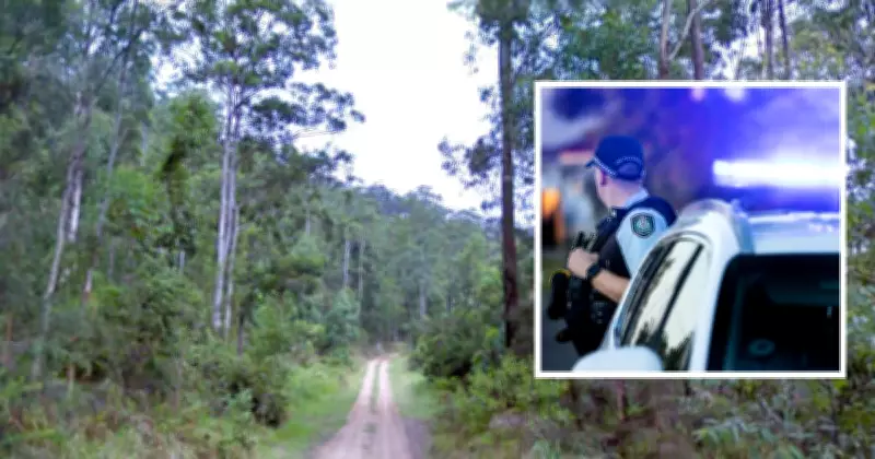 Matthew Hollebone pleads guilty to Newcastle crime spree