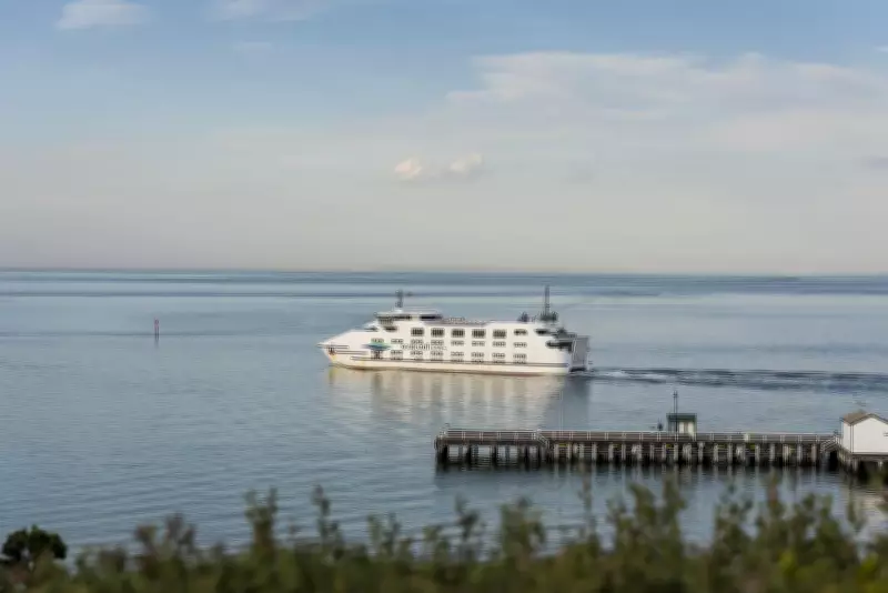 Mornington Peninsula Highlights: Top Attractions and Activities