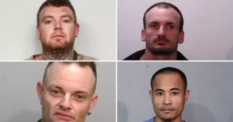 Newcastle Herald Live: Wanted Warrants, Property News, and More