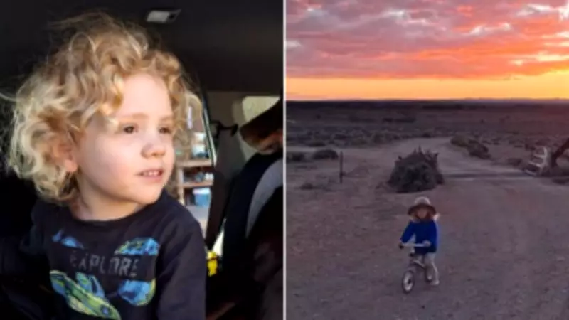 No major breakthroughs in search for missing four-year-old Gus Lamont, seven months on