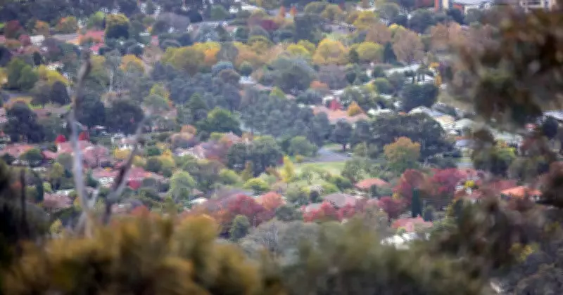 Opinion: Licensing Alone Won't Fix Canberra's Building Failures