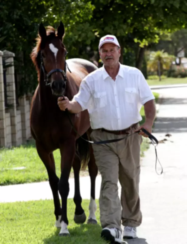 Perth Trainer Banned Worldwide for Punching Horse in Head
