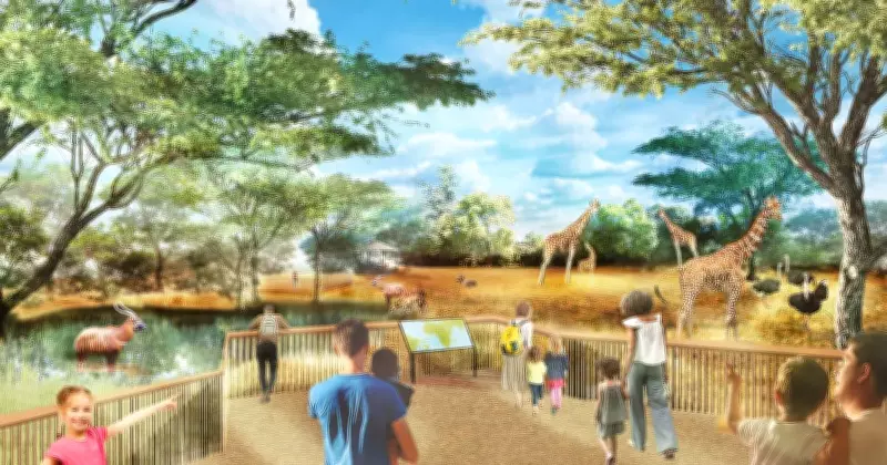 Perth Zoo’s $20M Expansion to Triple Giraffe Habitat Size