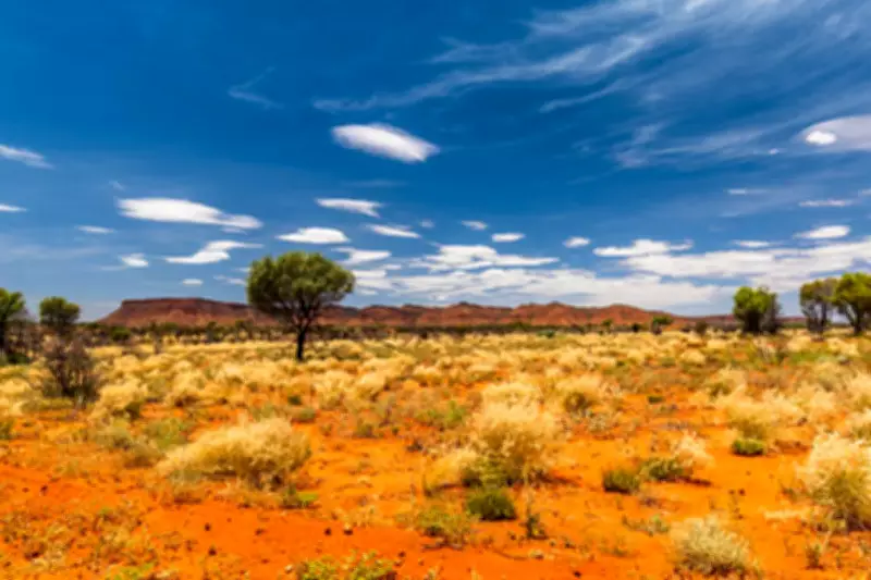 Premier1 Hits High-Grade Gold, Uncovers VMS Potential at Yalgoo